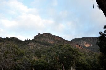 DSC_2686-2
