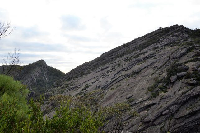 DSC_2688-2