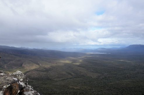 DSC_2876