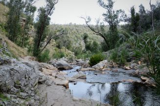 DSC_3023