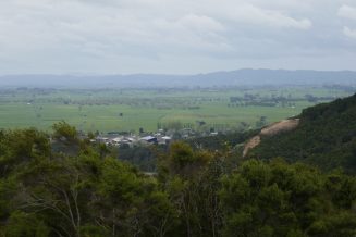 P1020457