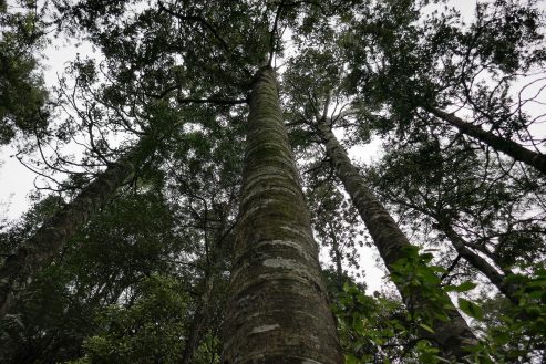 P1020512