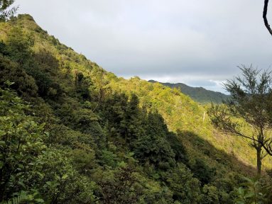 20180728_150747(0)