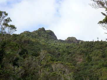 DSC00499