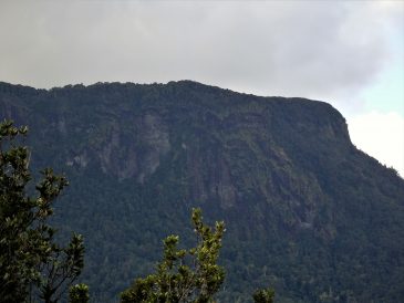 DSC00559