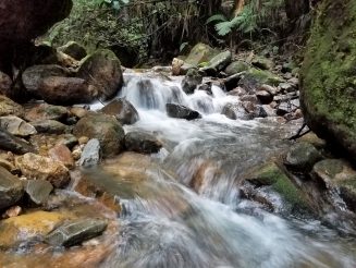 20180901_172823