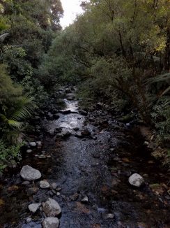 20180929_161657