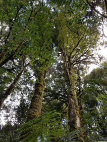 20180930_125901