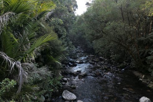 P1030725