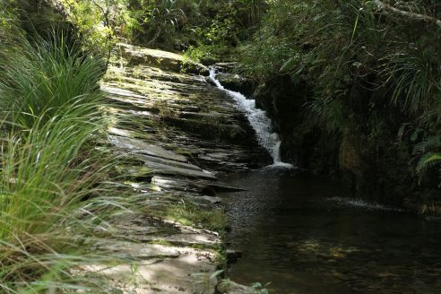 P1030762