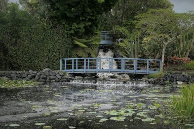 P1050715