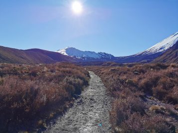 IMG_20190921_083134