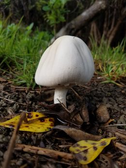 20200601_105117
