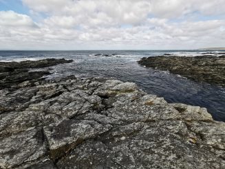 IMG_20210404_092229