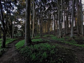 IMG_20210703_161617